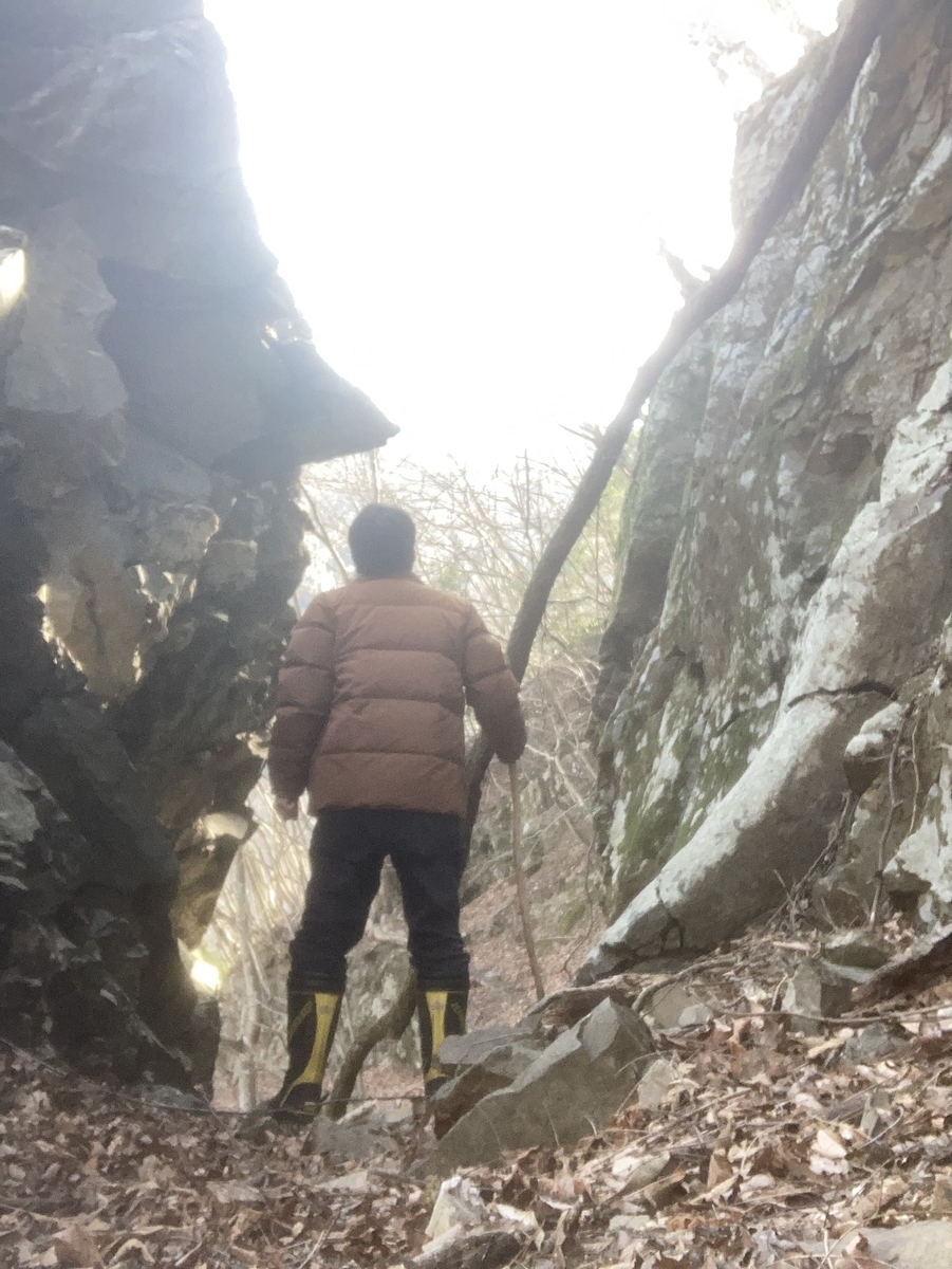 f:id:msx4:20220309133822j:plain