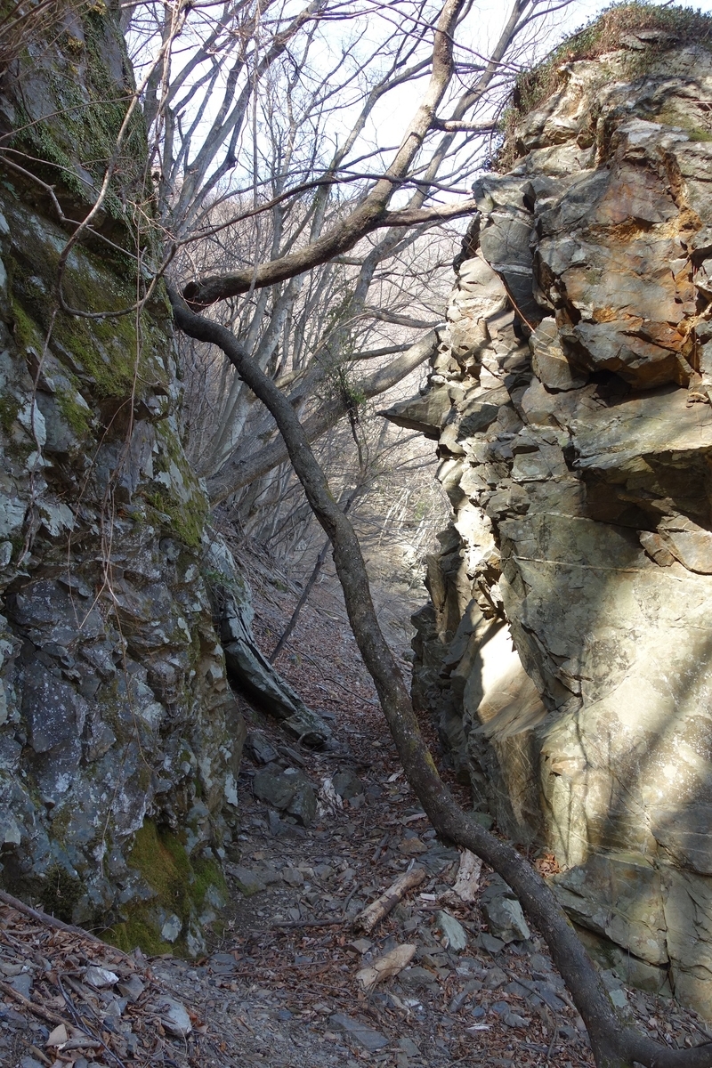 f:id:msx4:20220309133915j:plain