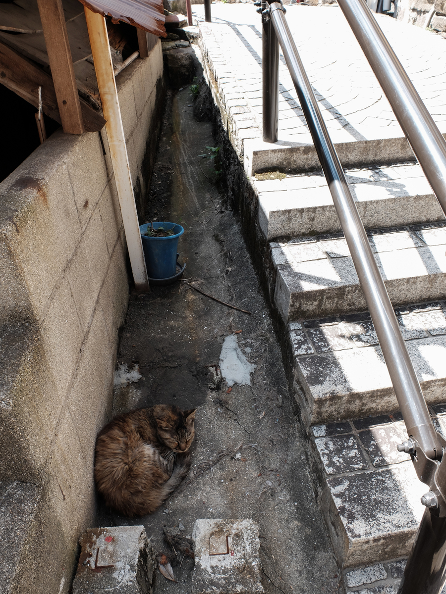f:id:msy15151:20190414162650j:plain f:id:msy15151:20190414162650j:plain