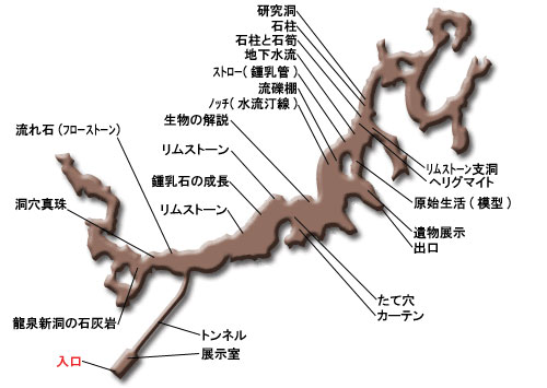 龍泉新洞案内図