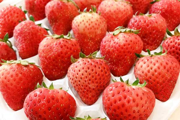 とても美味しい夏いちご「なつあかり」」