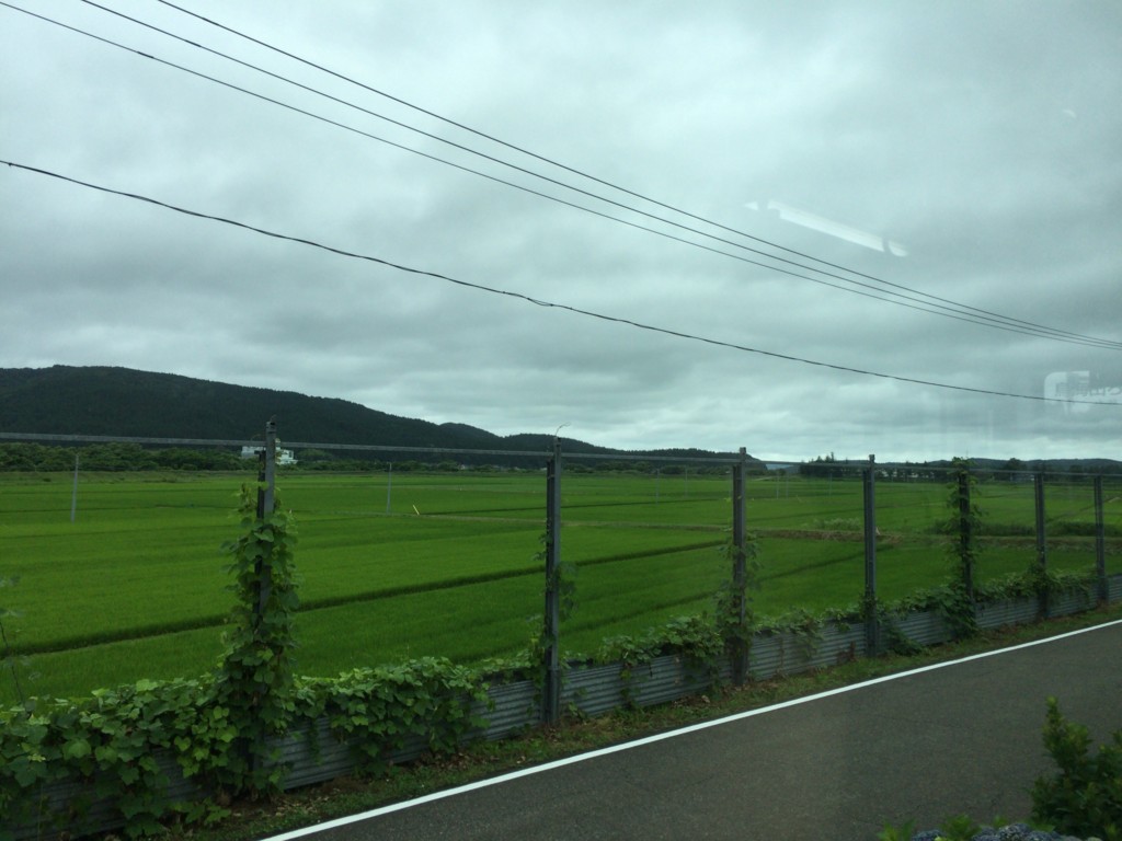 f:id:msz-x:20160718120415j:plain