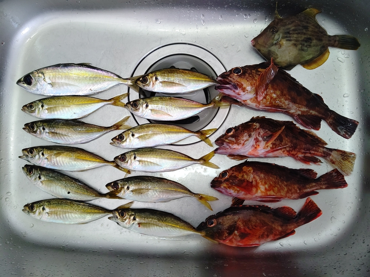 広島の釣り アジング その2 Tとmの釣り日記 広島の釣り アジング その2 Tとmの釣り日記