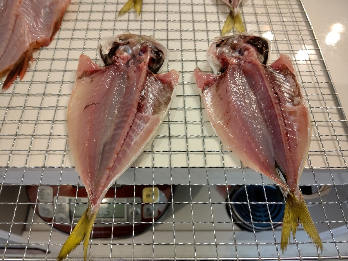 広島の釣り アジング その2 Tとmの釣り日記 広島の釣り アジング その2 Tとmの釣り日記