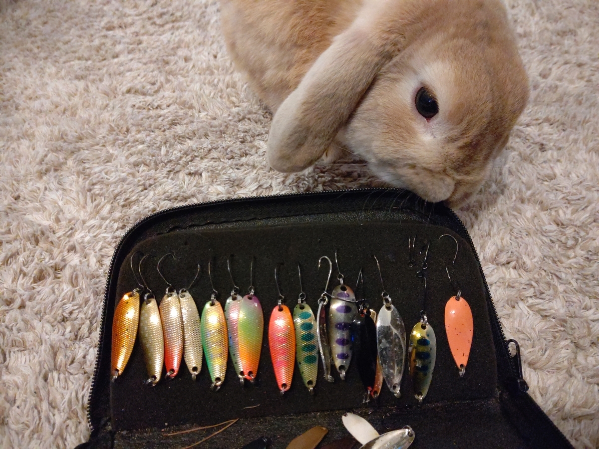 スリムスイマー - TとMの釣り日記。