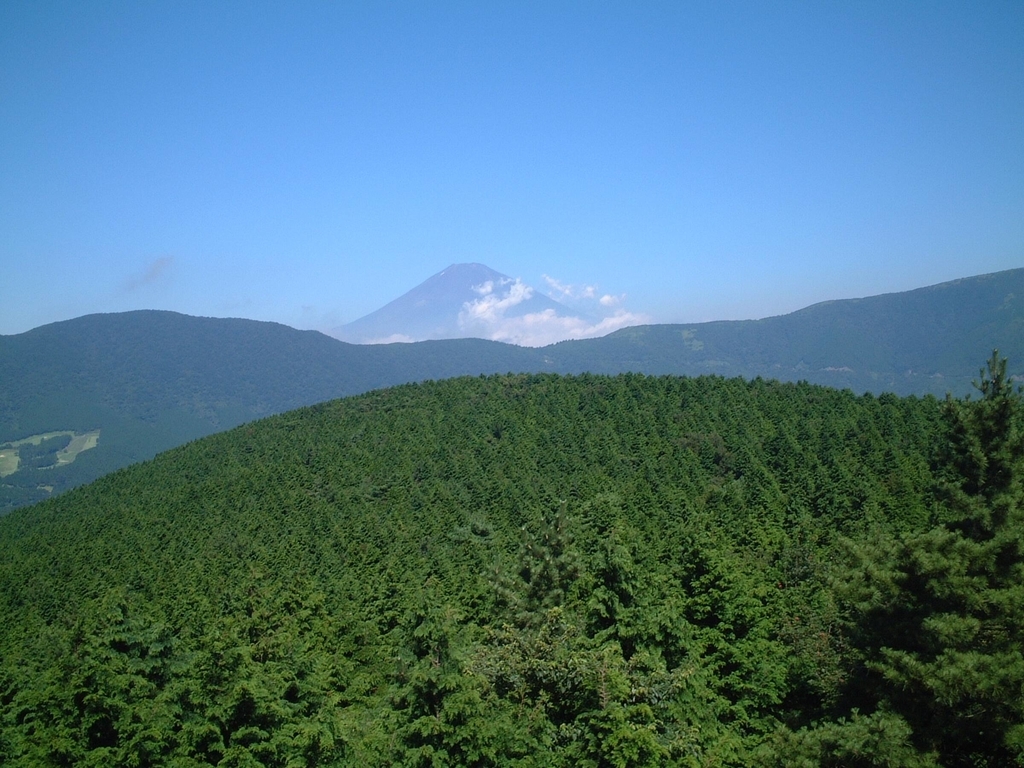 f:id:mt17aji3:20190312060108j:plain f:id:mt17aji3:20190312060108j:plain