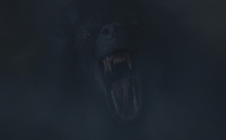 黒い魔犬