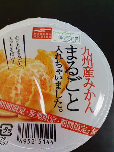 f:id:mt_shadow:20100201120355j:image