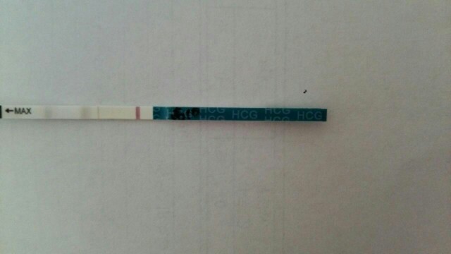 D24 高温期10日目 妊娠検査薬フライング 二人目妊活記録