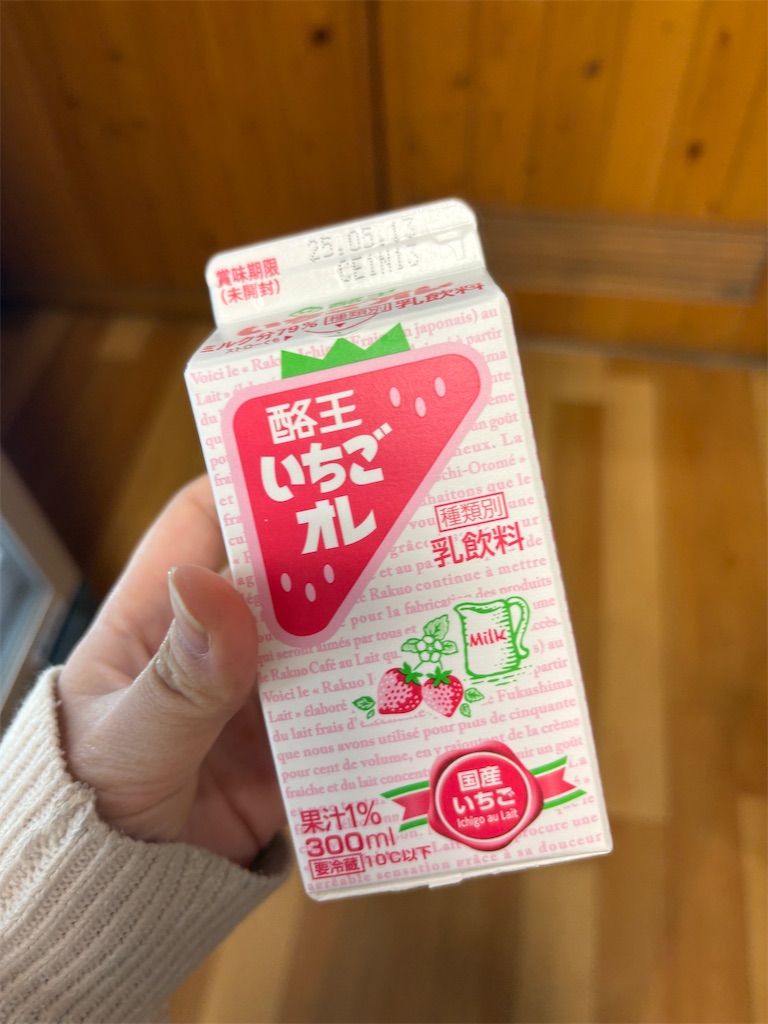 f:id:mtabinochang:20250506001533j:image