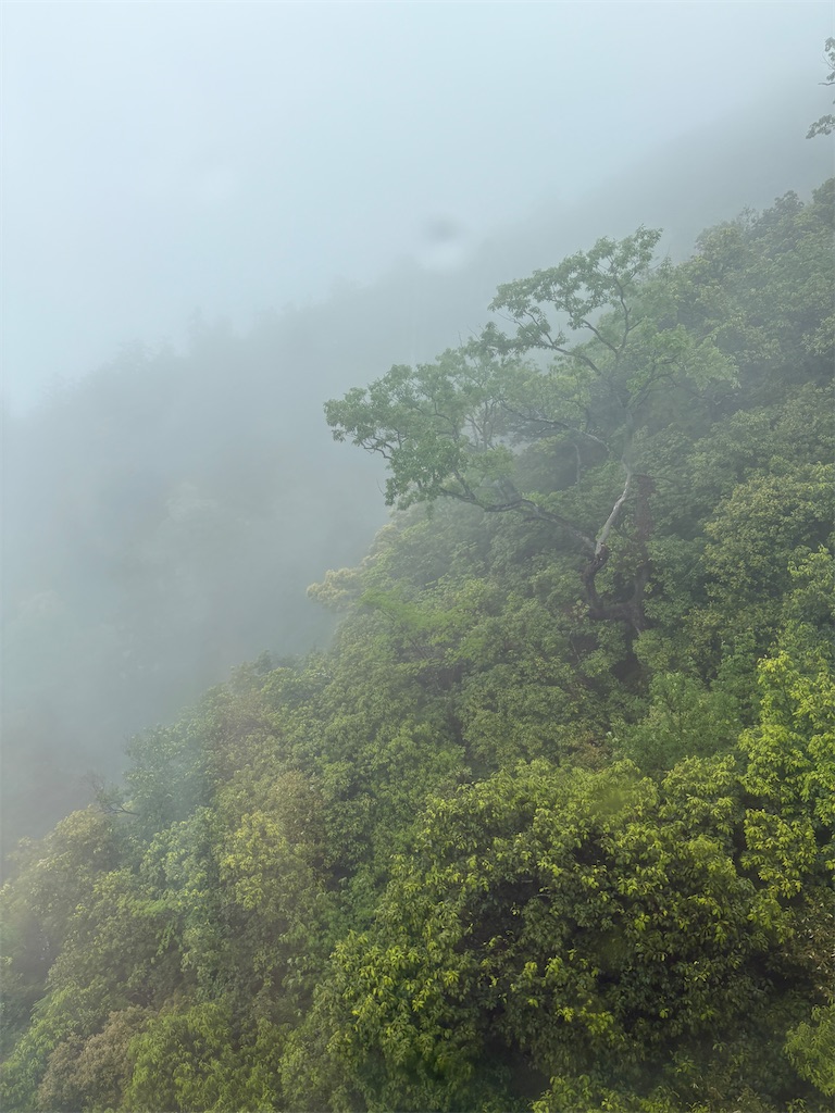 f:id:mtabinochang:20250511231514j:image