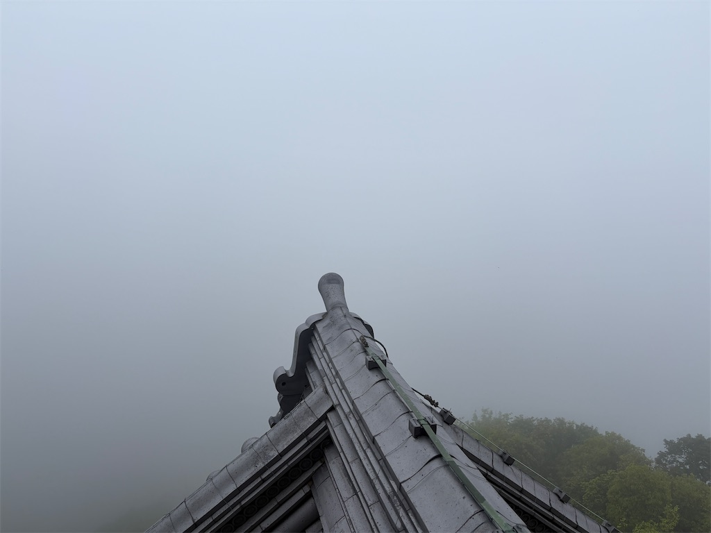 f:id:mtabinochang:20250511231548j:image