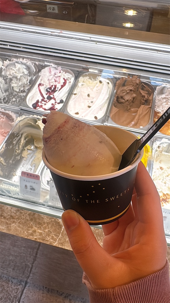 f:id:mtabinochang:20250511231558j:image