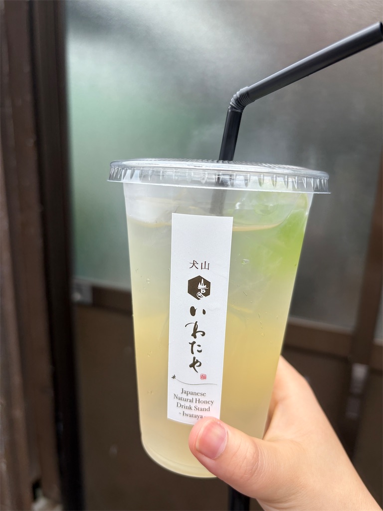 f:id:mtabinochang:20250615202142j:image