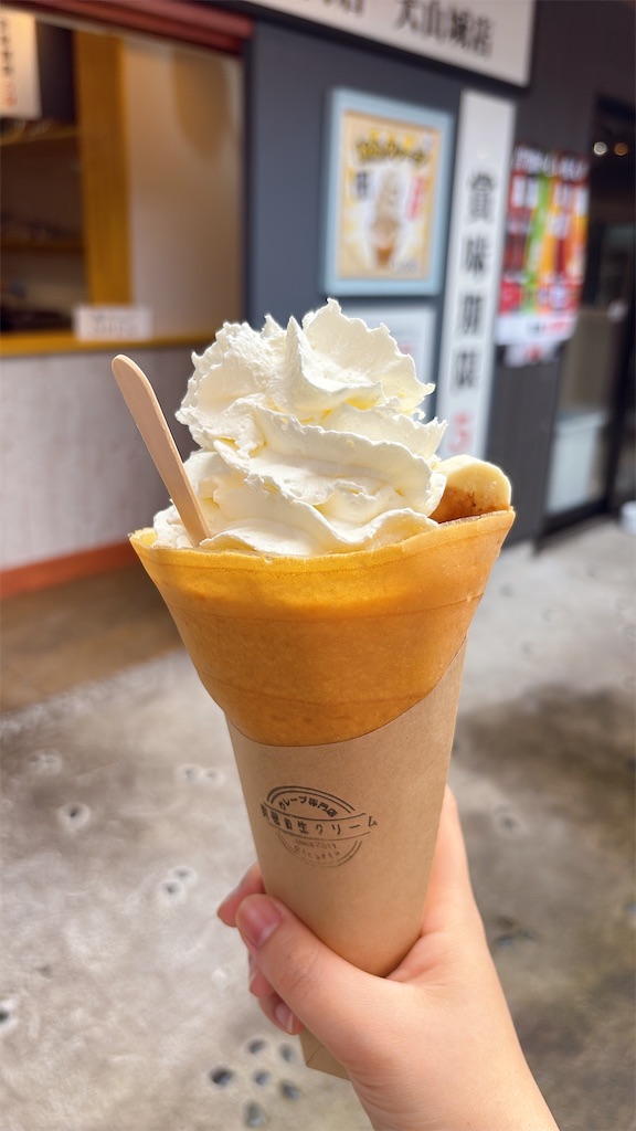 f:id:mtabinochang:20250615202145j:image