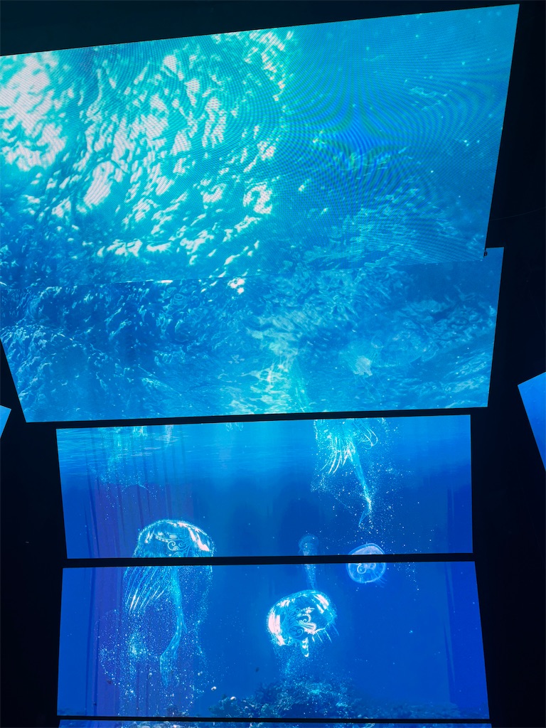 f:id:mtabinochang:20250722103347j:image