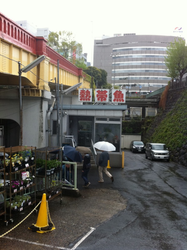 f:id:mtaneda:20110423094726j:image:w360