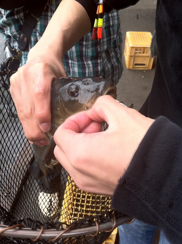 f:id:mtaneda:20110423102441j:image:w360