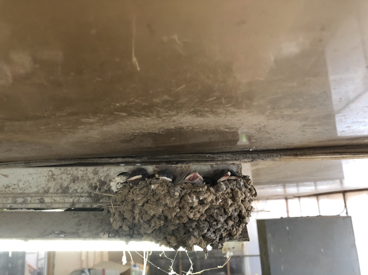 f:id:mtaniguchi13:20200622185315j:plain f:id:mtaniguchi13:20200622185315j:plain