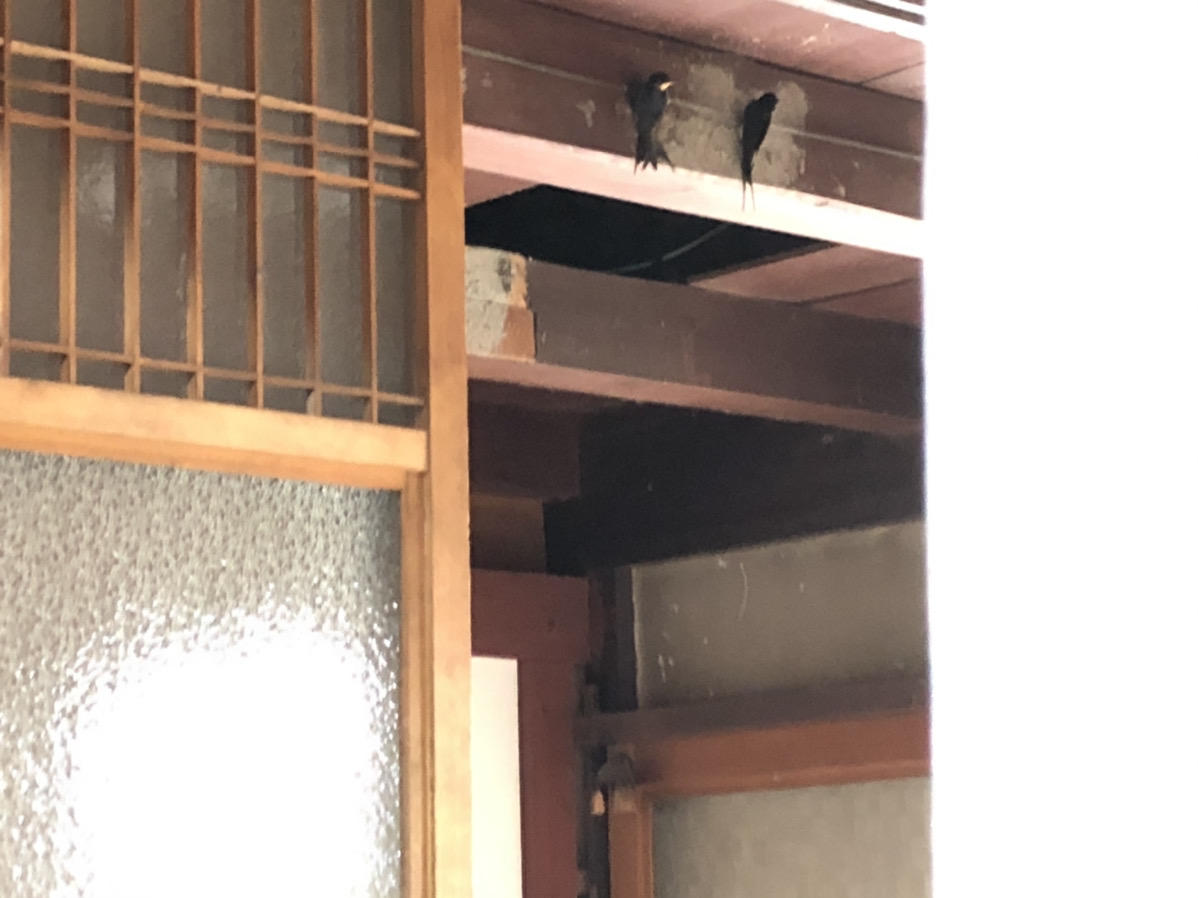 f:id:mtaniguchi13:20200622185400j:plain f:id:mtaniguchi13:20200622185400j:plain