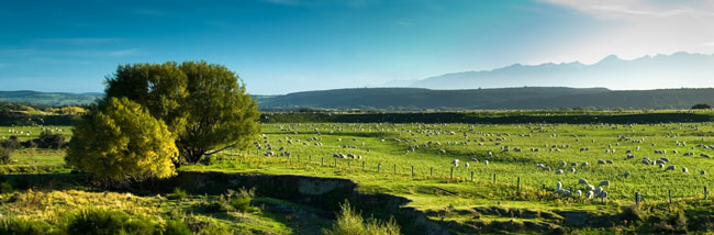 f:id:mtasam:20160721202959j:plain