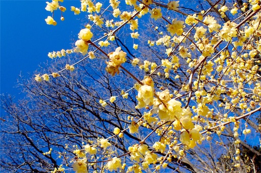 f:id:mtatm:20170502113225j:image