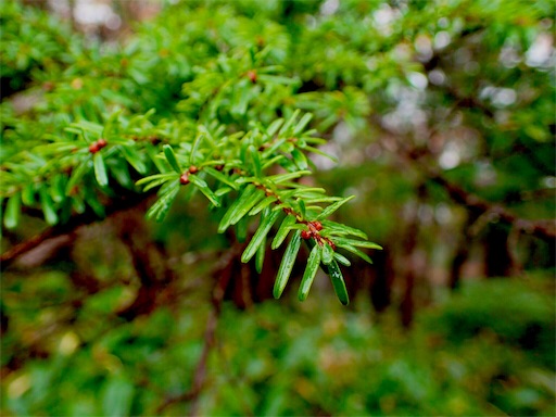 f:id:mtatm:20171102195355j:image
