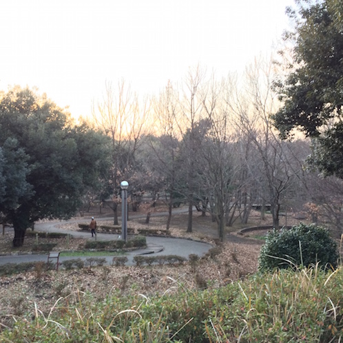 f:id:mtautumn:20170108230555j:plain