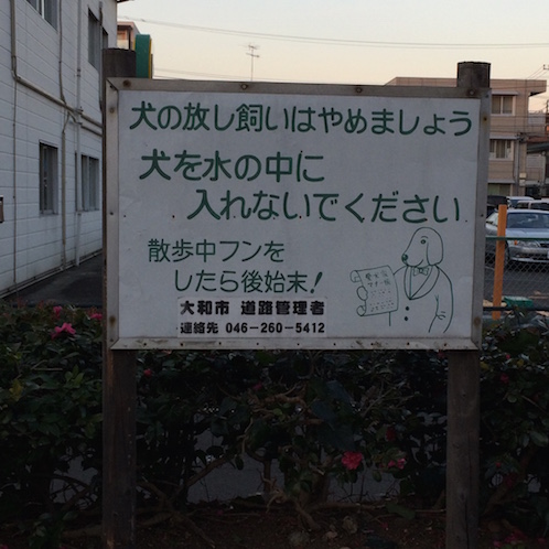 f:id:mtautumn:20170108231946j:plain