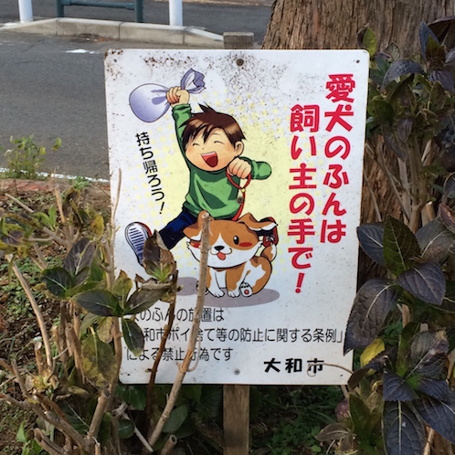 f:id:mtautumn:20170108232002j:plain