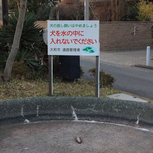 f:id:mtautumn:20170108232019j:plain