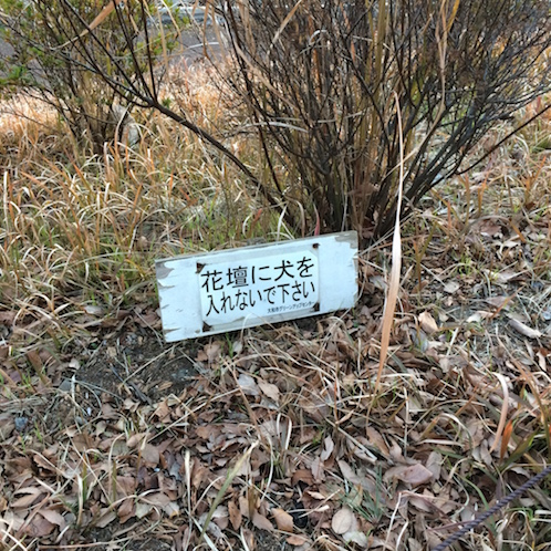 f:id:mtautumn:20170108232042j:plain