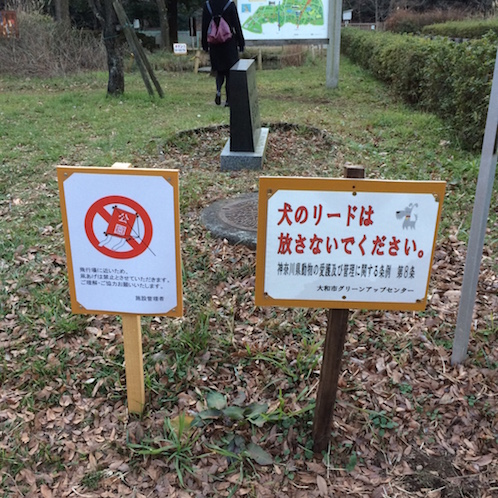 f:id:mtautumn:20170108232116j:plain