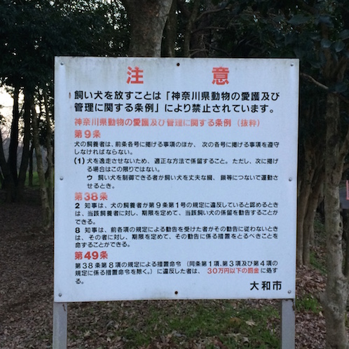 f:id:mtautumn:20170108232154j:plain