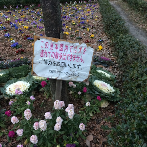 f:id:mtautumn:20170108232225j:plain