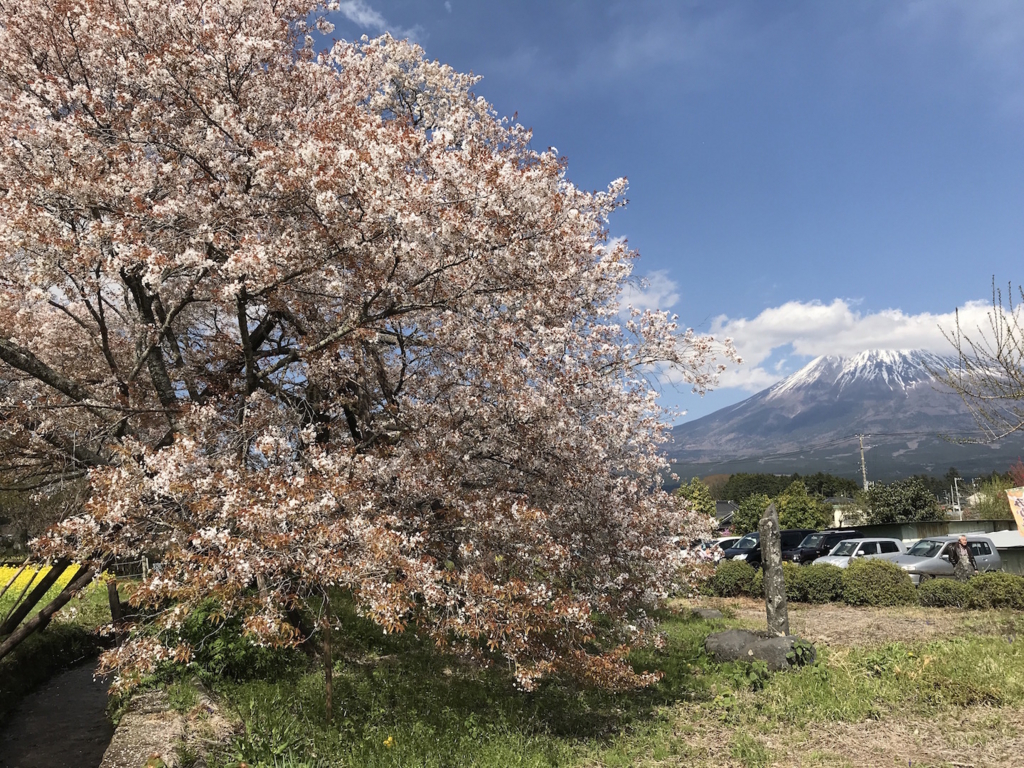 f:id:mtautumn:20180512215053j:plain f:id:mtautumn:20180512215053j:plain