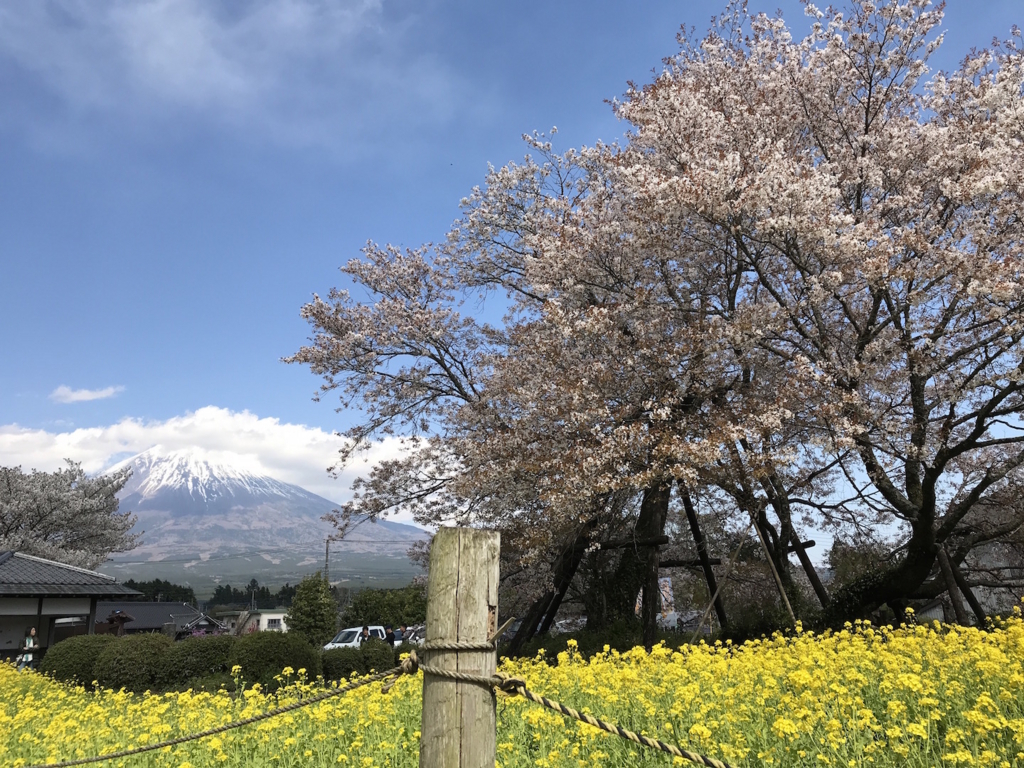 f:id:mtautumn:20180512215111j:plain f:id:mtautumn:20180512215111j:plain