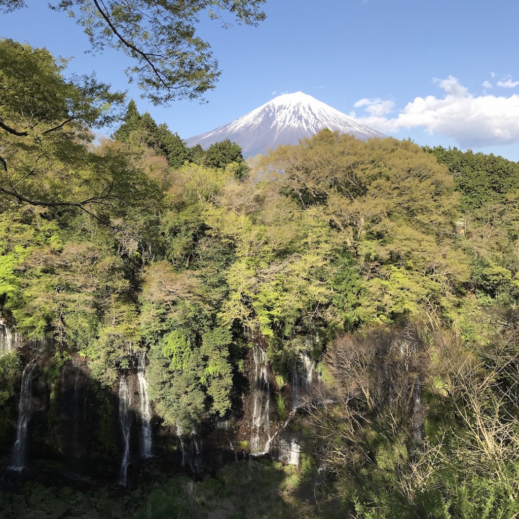 f:id:mtautumn:20180512220247j:plain f:id:mtautumn:20180512220247j:plain
