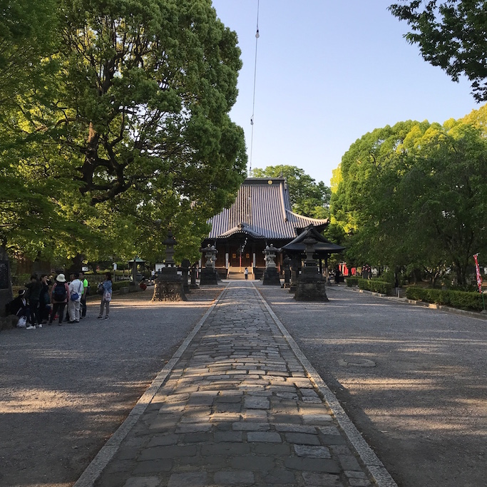 f:id:mtautumn:20180623124149j:plain f:id:mtautumn:20180623124149j:plain