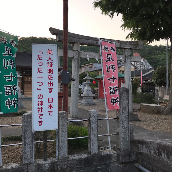 f:id:mtautumn:20180623124326j:plain