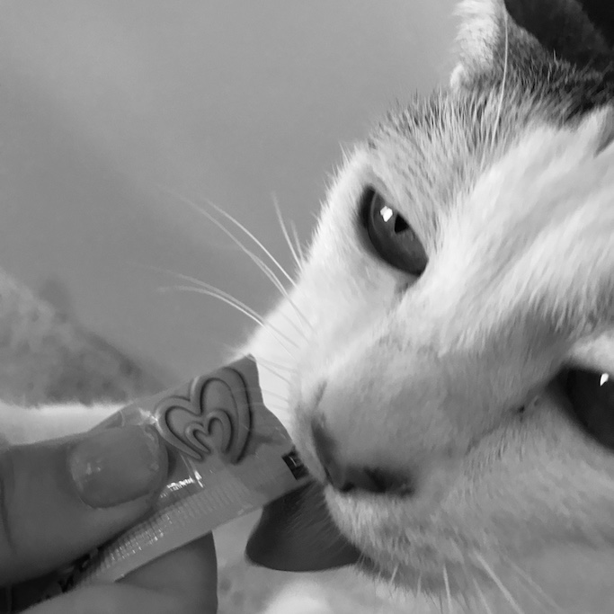 f:id:mtautumn:20180623162954j:plain