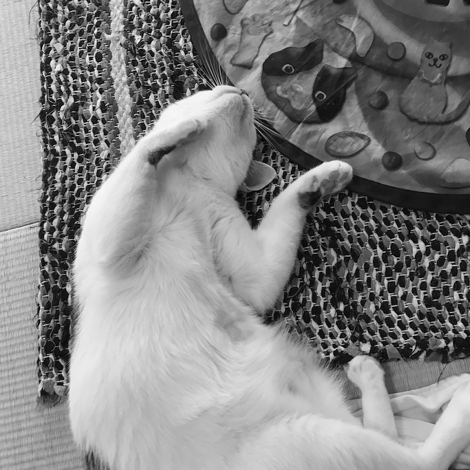 f:id:mtautumn:20180811081922j:plain