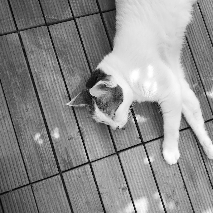 f:id:mtautumn:20180817220624j:plain f:id:mtautumn:20180817220624j:plain