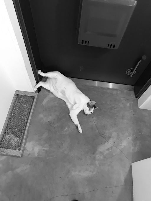 f:id:mtautumn:20180826160505j:plain