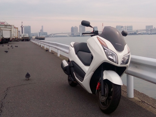 イメージカタログ 適切な ビッグ スクーター 通勤