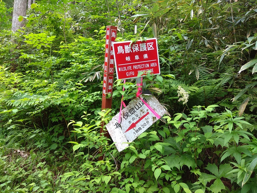f:id:mteverest:20200711105621j:plain f:id:mteverest:20200711105621j:plain