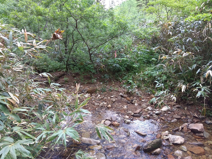 f:id:mteverest:20200711105810j:plain f:id:mteverest:20200711105810j:plain