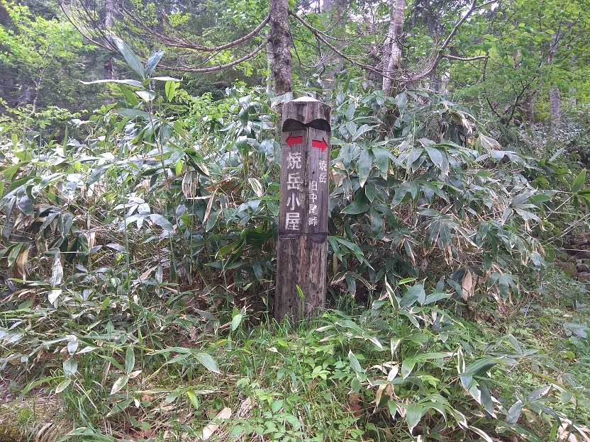 f:id:mteverest:20200722222108j:plain f:id:mteverest:20200722222108j:plain