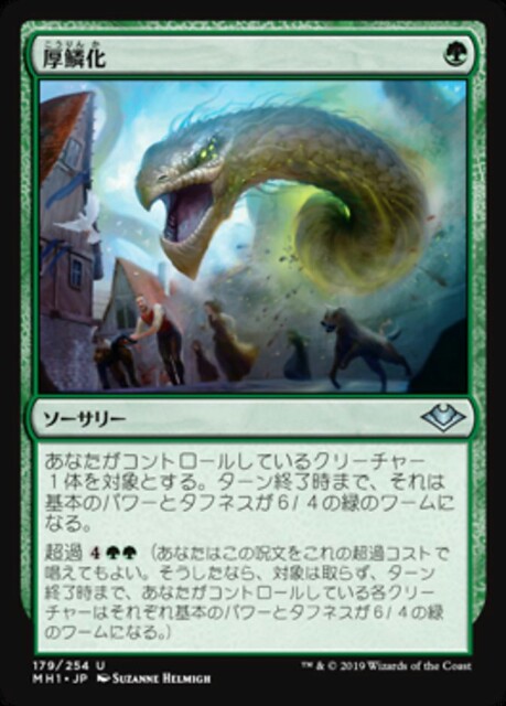 モダンの知識6/感染 - mtg モダン 統率者 大阪