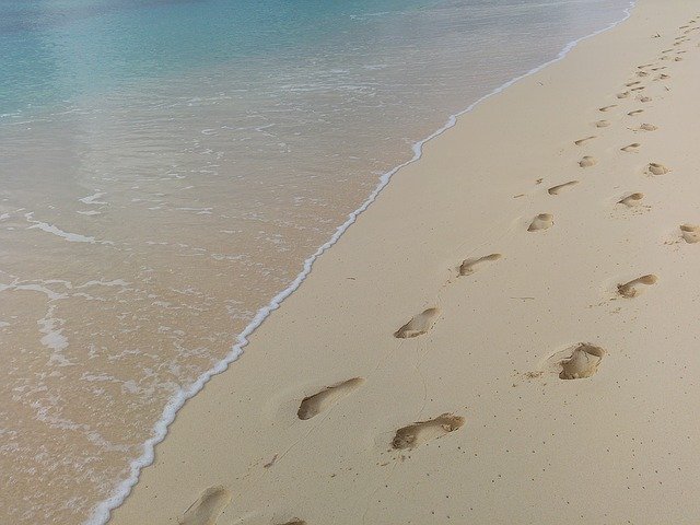 砂浜の足跡